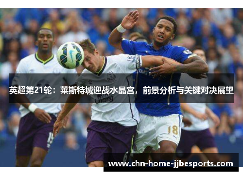 英超第21轮：莱斯特城迎战水晶宫，前景分析与关键对决展望