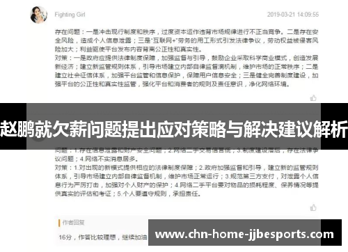 赵鹏就欠薪问题提出应对策略与解决建议解析